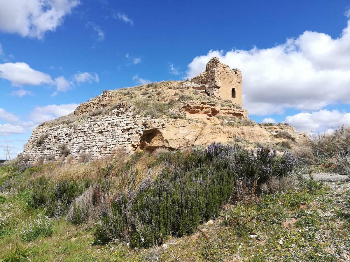 Ca L'Aviador Villa Sarroca de Lerida Bagian luar foto